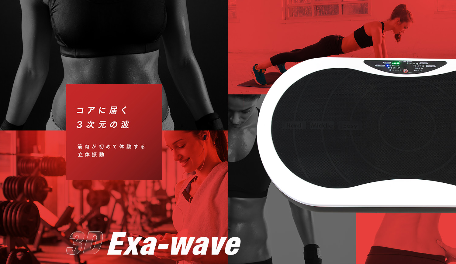 3D Exa-wave[3Dエクサウェーブ]│製品紹介│株式会社リッコー